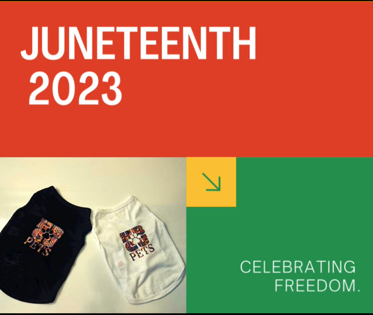 Shop JUNETEENTH Collection