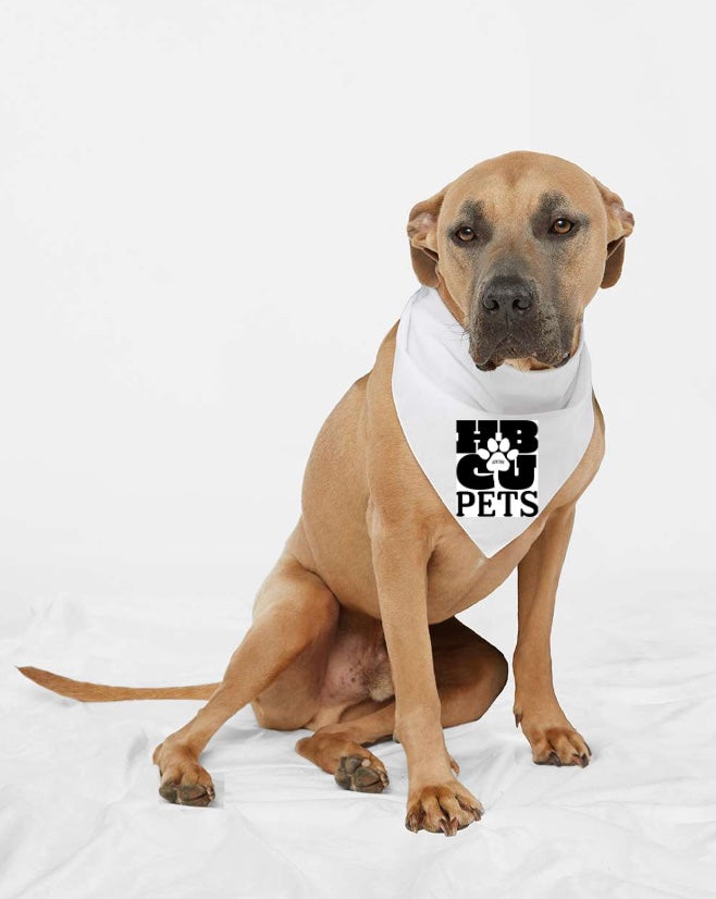 HBCU Pets Scarf Bandana- Various HBCU & Greek Colorways
