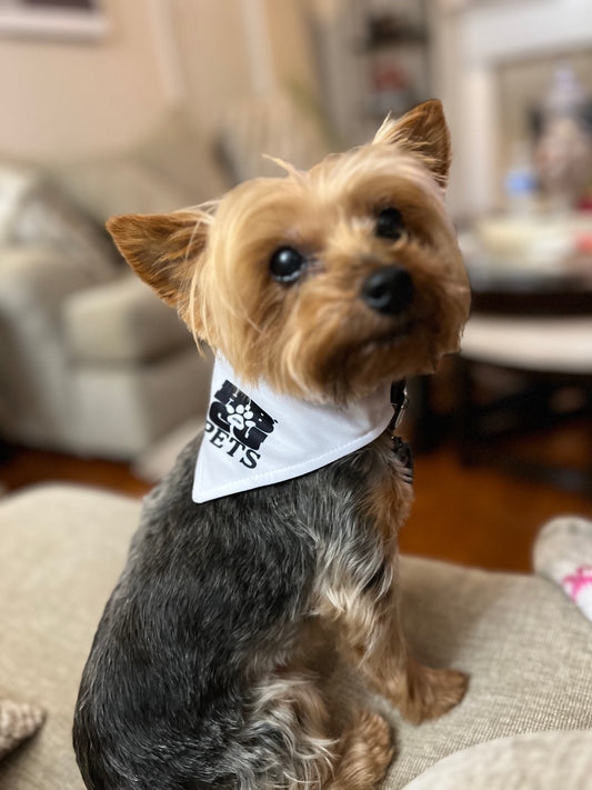 HBCU Pets Bandana Collar