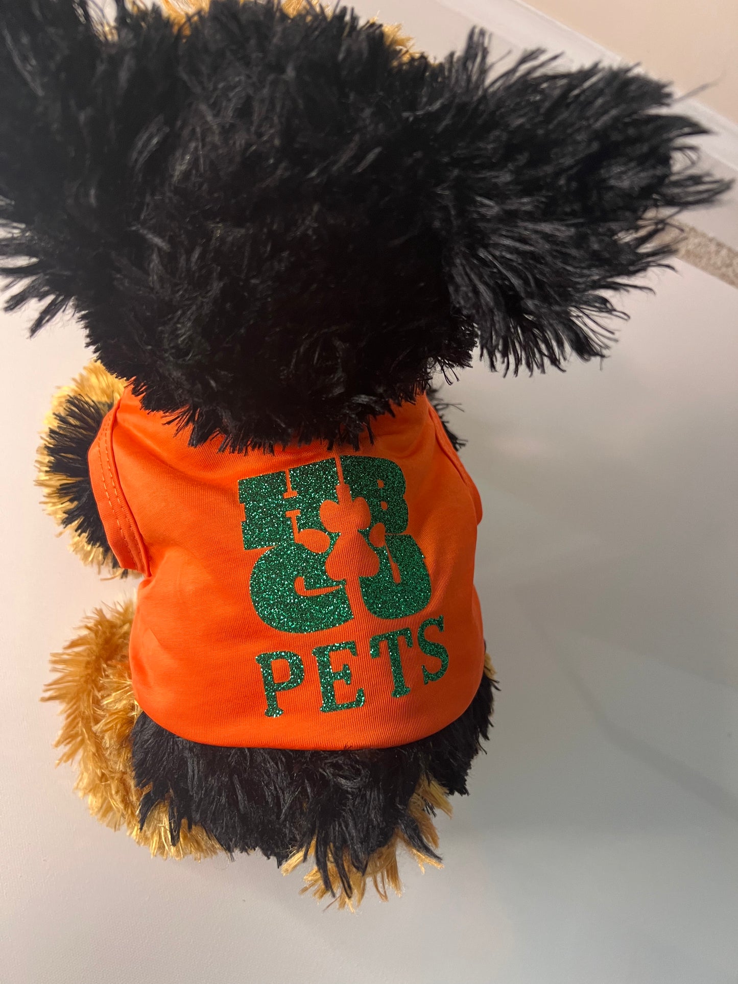 HBCU Colorway Pet t-shirt-Orange & Green
