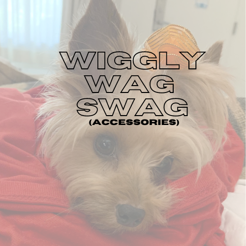 Shop our Accessories