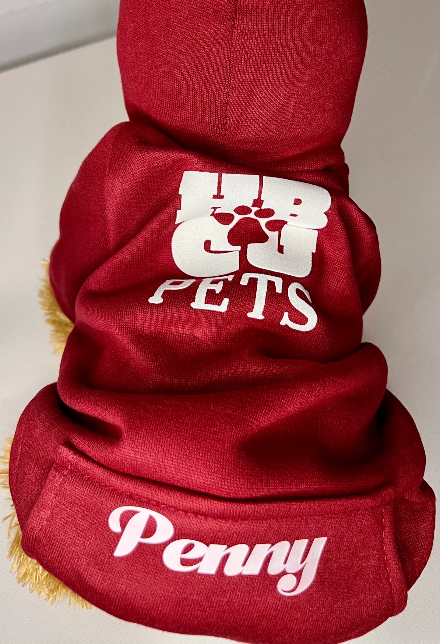 HBCU Pets Hoodie for Pets (Personalization Available!)